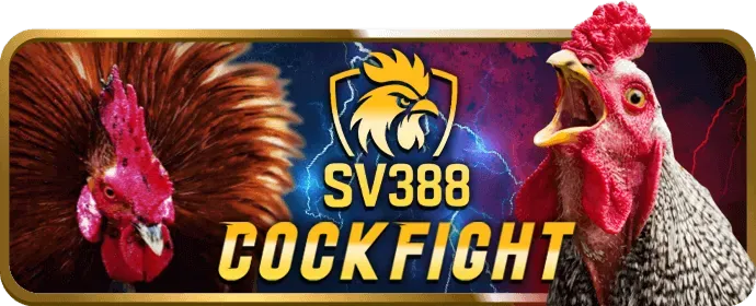 Hoàn trả thể thao và casino 98win9